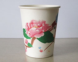 国画纸杯